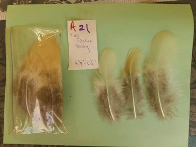 30 white Peacock Body Feathers 4 1/4 - 5 1/2'' fly tying crafts cruelty-free A21