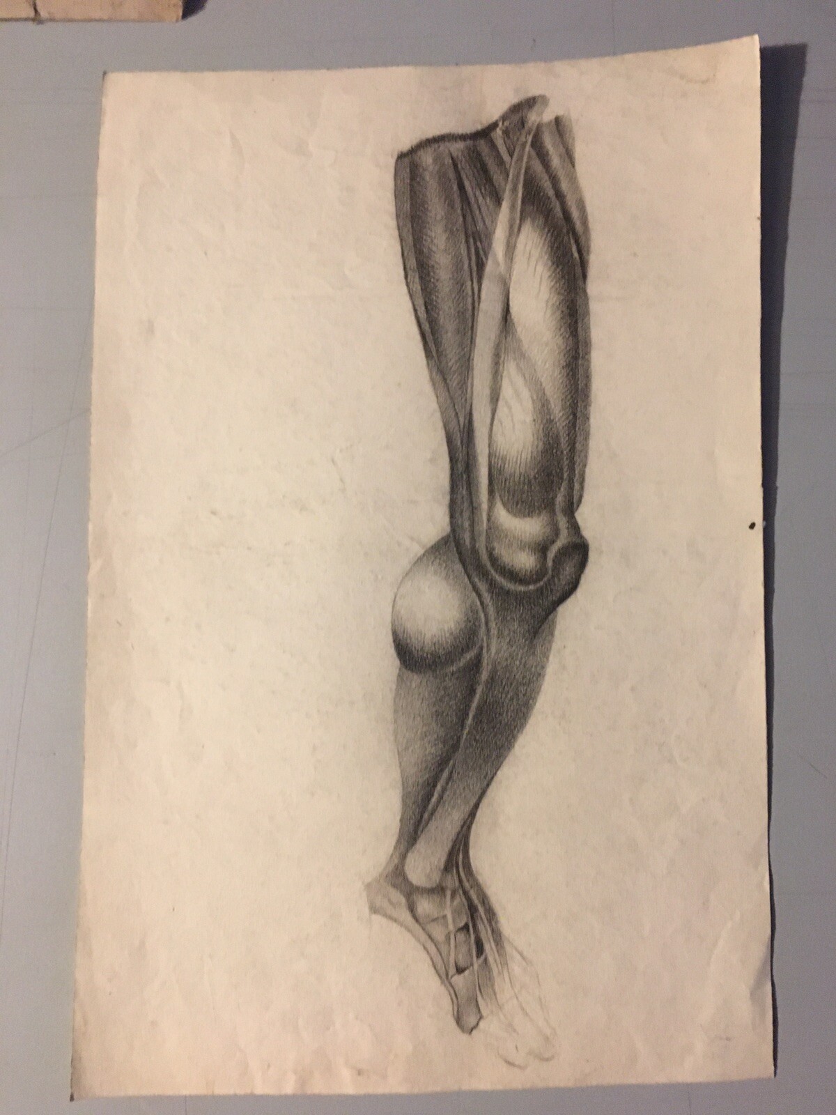 Picture 1 of 8