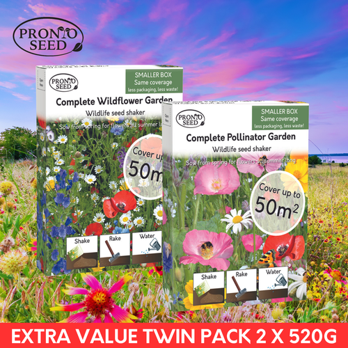 WILD FLOWER SEEDS UK BUTTERFLY & BEE FRIENDLY WILD FLOWERS 1.04KG