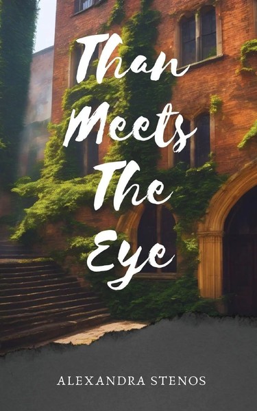 Than Meets The Eye Alexandra Stenos Taschenbuch Englisch 2024 Gatekeeper Press-image