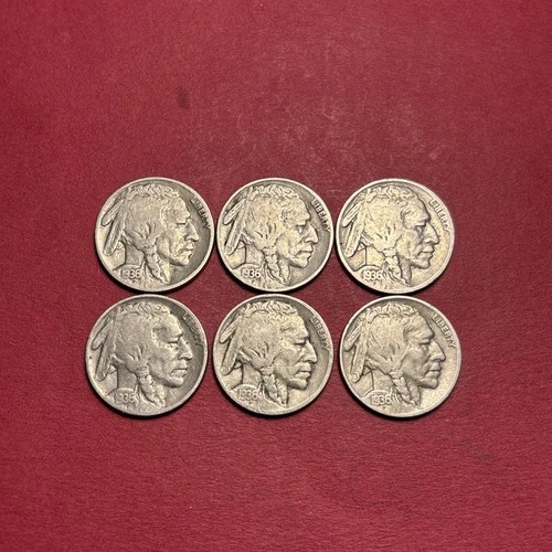 Lot Of (6) Vintage ALL 1936-P Buffalo/Indian Head Nickels ALL VERY GOOD-FINE