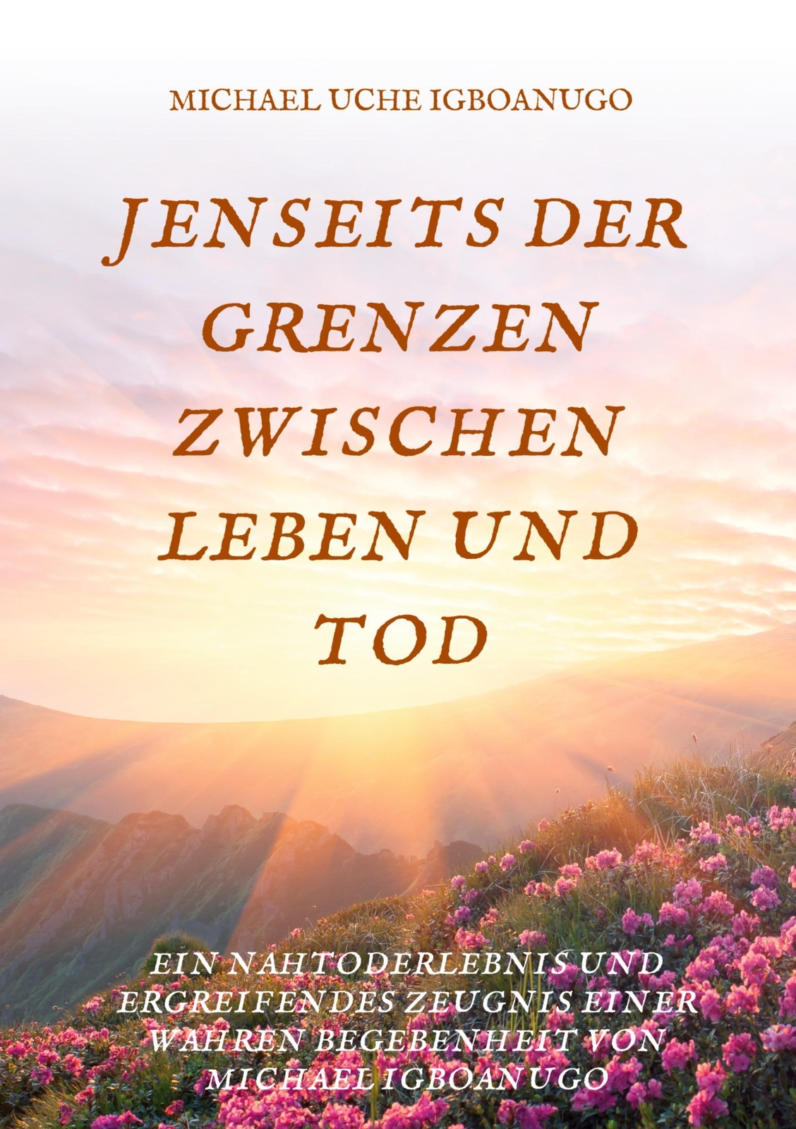 Thumbnail - Michael Uche Igboanugo | Jenseits Der Grenzen Zwischen Leben Und Tod |