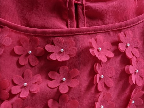 Women's Dress Pink/Red Chiffon Lined Sleeveless Chest 40" Floral Applique neck - Picture 10 of 11