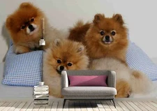 3D Pomeranian Dog Wallpaper Wall Mural Removable Self-adhesive Sticker 65
