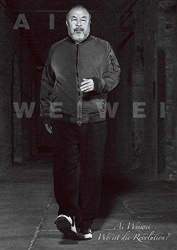 Ai Weiwei By Susanne Gaensheimer,Doris Krystof,Falk Wolf