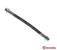 Brembo Bremsschlauch Hinterachse, Innen, Links, Rechts FüR Audi