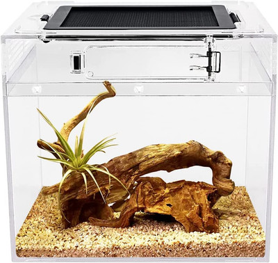 Mini Reptile Terrarium,8'' X 8''X 8'' Reptile Tank with Full View Visually Appealin
