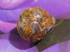 ANCIENT GOBI DESERT COLORFUL AGATE EYE COLLECTOR'S PENDANT BEAD 24.8-21-16.8 MM — photo 3