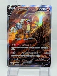 Entei V 213/172 VSTAR Universe Special Art Rare Japanese