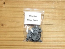 40K Sisters of Battle _Celestian Sacresant w/ Mace Blind Buy Single Figure Bits