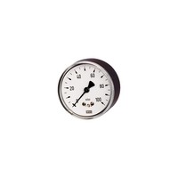 Riegler Kapselfedermanometer G 1/2 Hinten Exzentr. 0 - 250 Mbar Ã˜ 100