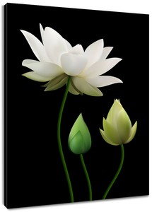 White Lotus At Night Canvas Modern Wall Art Oil Painting Home Office Decor Ebay