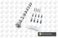 Bga Nockenwellensatz CS9611FK FüR 7JE Transporter 7JZ 7JY 7JD Vw 7JL T5 Multivan