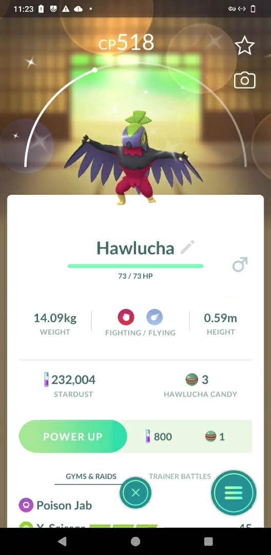 Pokmon Shiny Hawlucha - GO Read description Pokmon Shiny Hawlucha - GO Read description