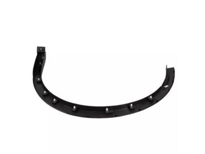Ford OEM MOULDING Left FA1Z58290A61AB