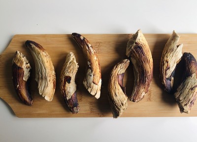 neater feeder amazon