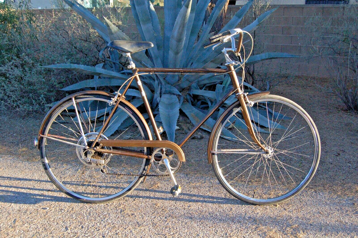 Schwinn Suburban 5spd 1973 vintage Chicago USA Chestnut