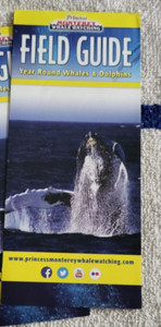 3 FOLD BROCHURE PRINCESS MONTEREY WHALE WATCHING FIELD GUIDE WHALES AND DOLPHINS