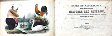 1833 Musée du naturaliste, dédié a la jeunesse. Histoire des oiseaux. (52572AB)