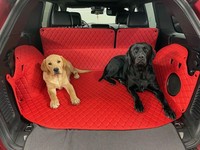 Carstyler® Kofferraummatte FüR Genesis GV 60 - Auswahl: Leder Rot Faden Rot