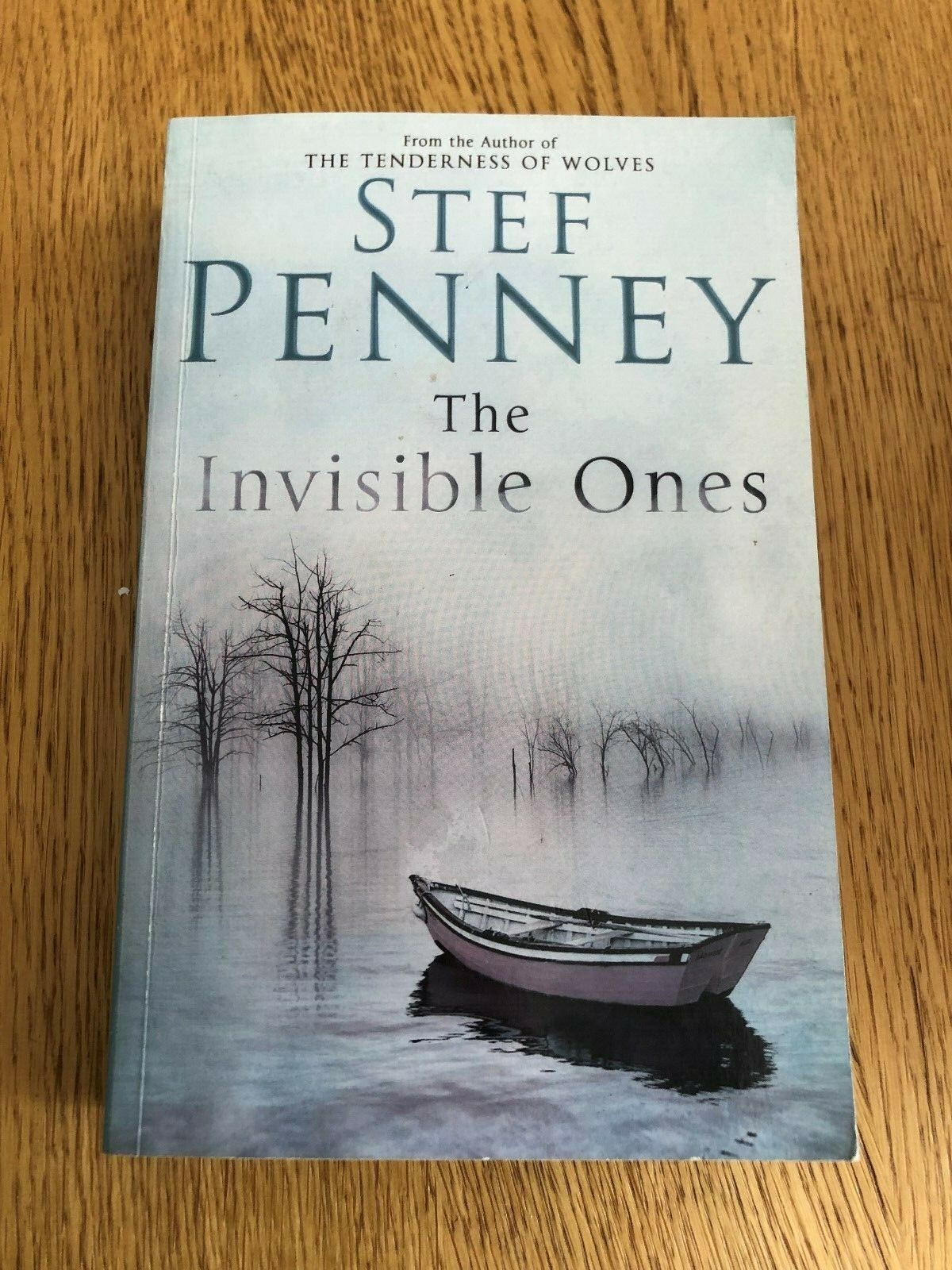 THE INVISIBLE ONES by STEF PENNEY - QUERCUS - P/B - *PROOF*
