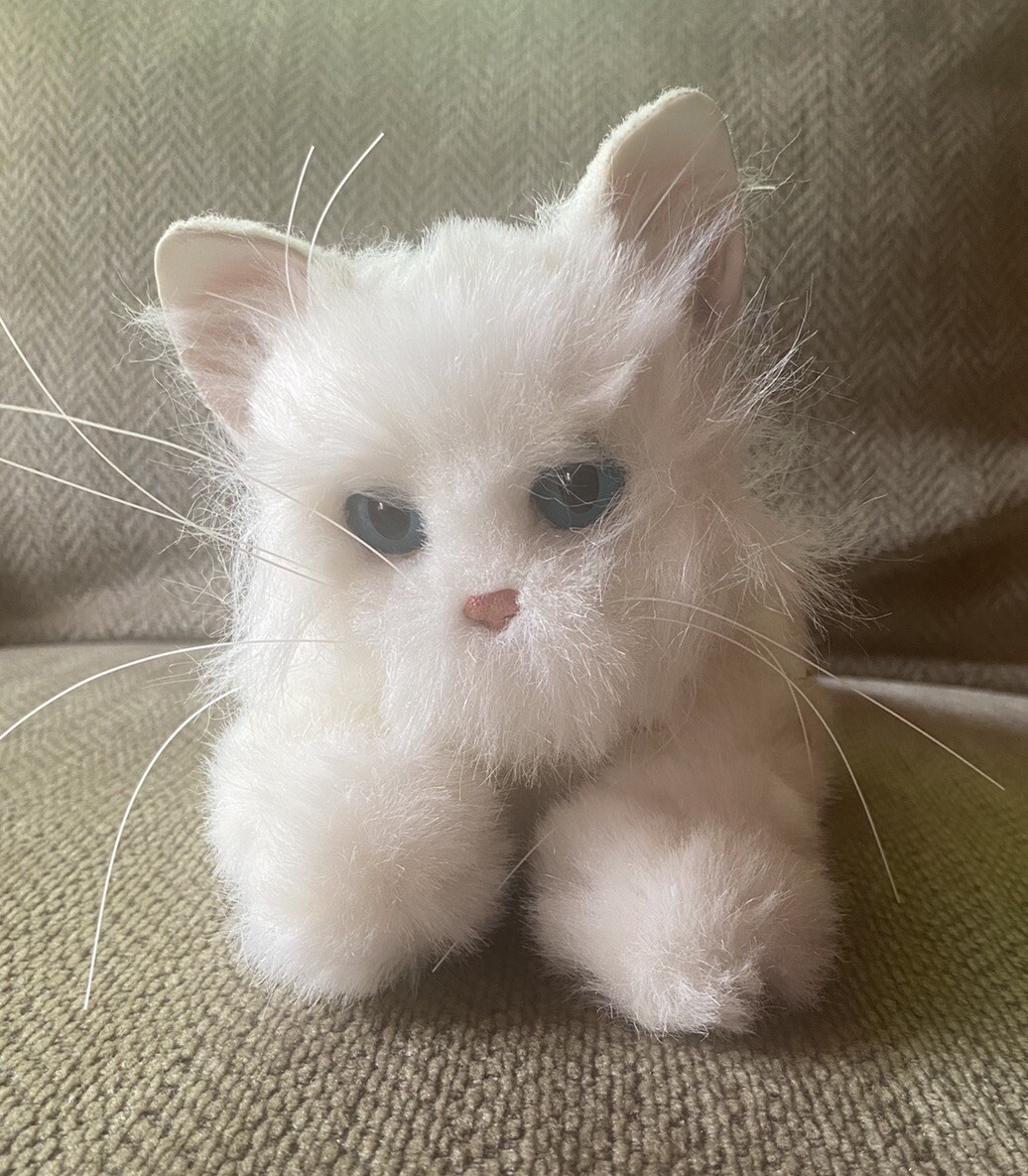 White Cat Fur Real Cat Toy Snow-white Kitten As A Real Toy With