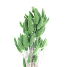 60 St&uuml;ck Nat&uuml;rliche Kaninchenh&auml;schen-Schw&auml;nze Getrocknete Blumen 24", Dunkelgr&uuml;n