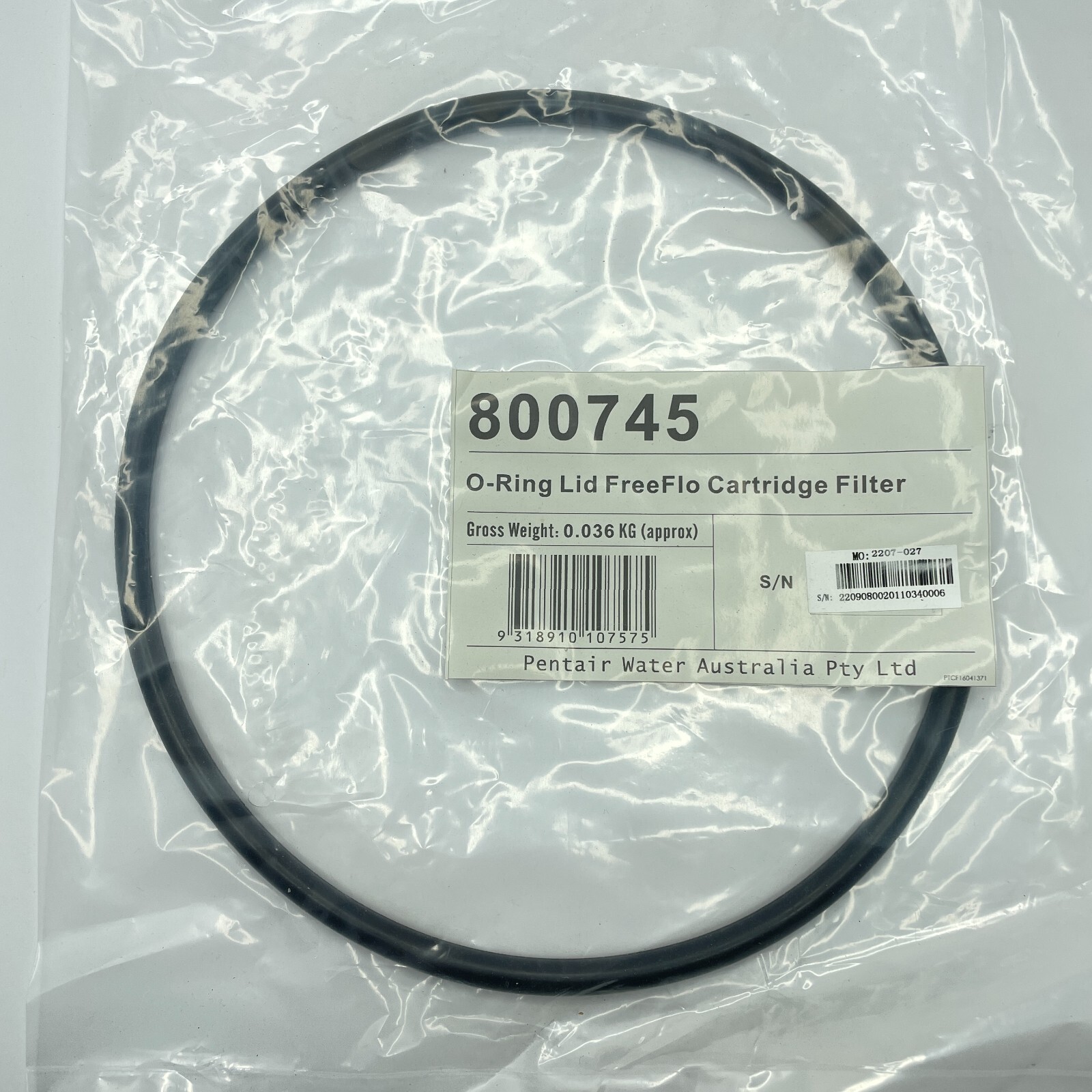 Pentair Freeflo Cartridge Filter Lid O’Ring 800745 eBay