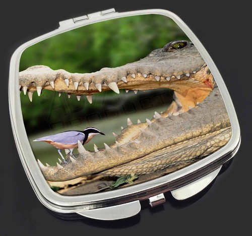 nile crocodile, bird in mouth make-up compact mirror stocking