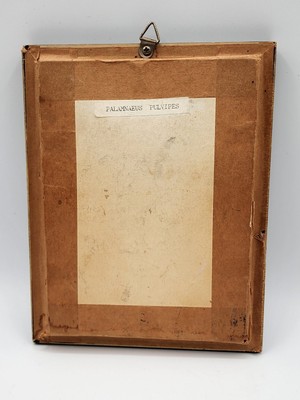 s-l400.jpg