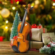 1/8 Acoustic Violin Basswood w/ Hard Bridge Case Bow Rosin Shoulder Rest Gift