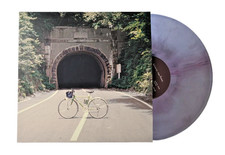 The Backseat Lovers When We Were Friends Galaxy Colored Vinyl Record LP PRESALE