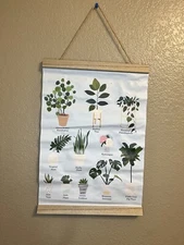 Houseplant Art Print 17” Hydrangea Snake Plant Aloe Fern Monstera Fiddle Leaf 