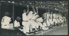 1953 Havana Baseball Club, "Rare Look into the Cuban Dugout" Vintage Photo