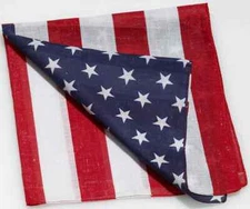 American Flag Bandana USA Patriotic Fancy Dress Up Halloween Costume Accessory