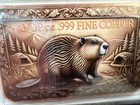 2026 5oz .999 Copper Dual Sides Colorized Enamel Backwoods Beaver Bar in Capsule — photo 4