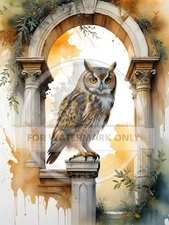 Tuscan Owl | A4 Rice Paper | Paper for Decoupage | Decoupage Central