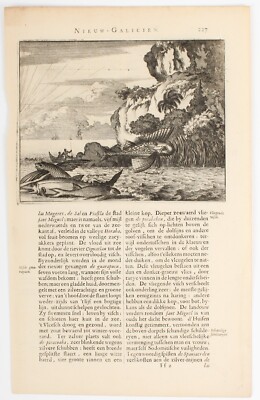 Antique Arnoldus Montanus 17th Century Engraving Fish of Mexico New Galicia