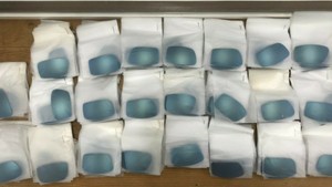 bulk oakley sunglasses