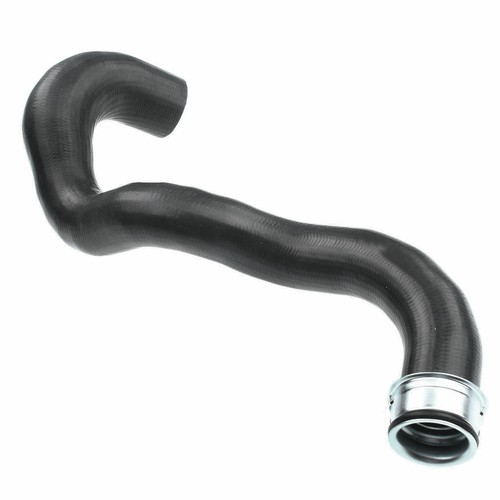 Manguera de refrigerante del radiador del motor lado inferior para Mercedes-Benz E320 W211 2003-2005 - Imagen 4 de 8