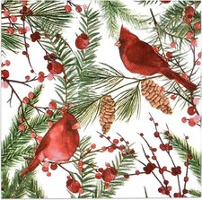 100 Christmas Cardinal Cocktail Beverage Napkins 3 Ply Disposable Paper Decorati