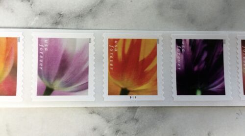 2023USA #5767-5776a Forever Tulip Blossoms - Plate Number PNC Coil Strip 10 Mint - Picture 2 of 4