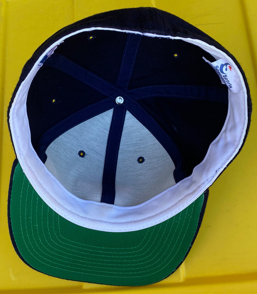 Vintage 90s Houston Astros Sports Specialties Hat Cap 100% Wool