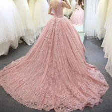 Pink A Line Wedding Dresses Bridal Gowns Lace-up Appliques Backless Princess