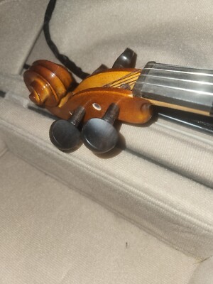 Palatino VN-450 4/4 Violin With Case | eBay