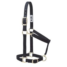Weaver Leather Basic Adjustable Nylon Halter Black 1" Small Horse