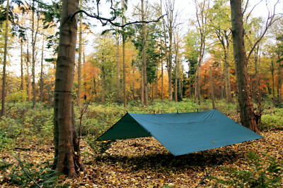 DD Tarp 4x4 グリーン DD Tarp 4x4: Large Weatherproof Portable Shelter for Group and