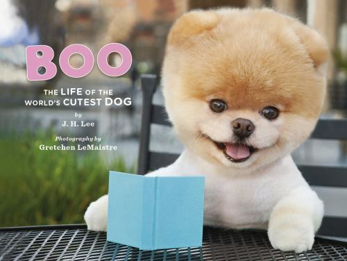 Boo: The Life of the World's Cutest Dog by Lee, J. H. - Picture 1 of 1