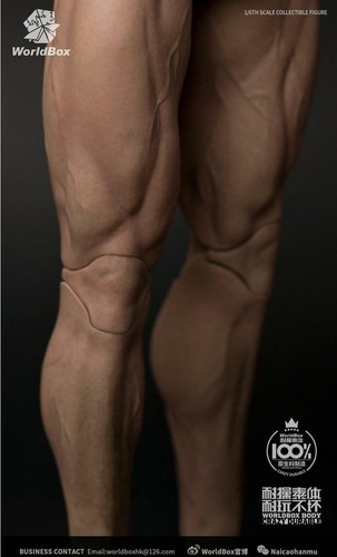 Worldox AT027 1/6 Durable Body Ripped Strong Man Male Actionfigur 13'' TALL - Bild 6 von 6