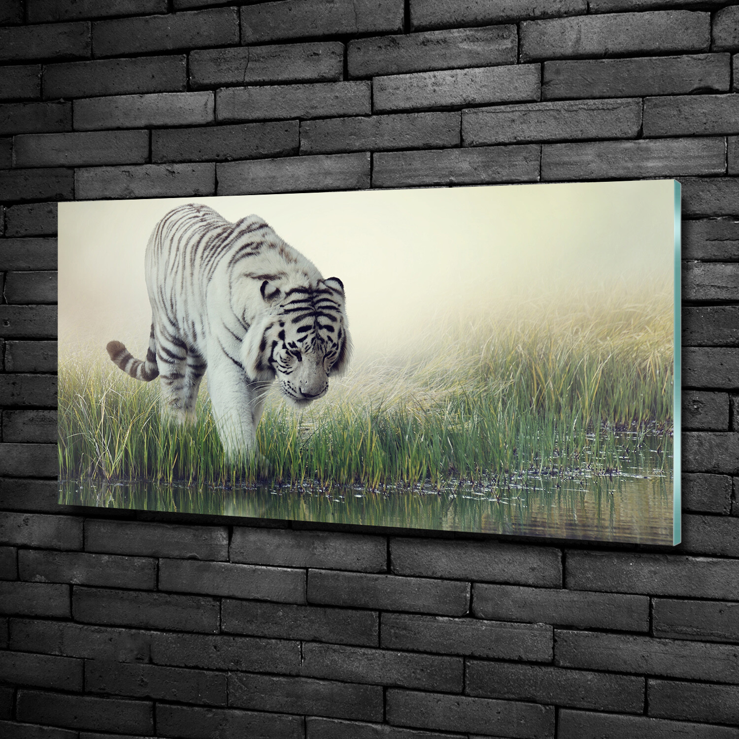 Tulup Glass Print Wall Art Image Picture 100x50cm White Tiger eBay